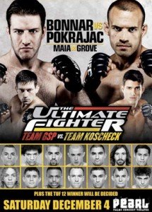 Ultimate Fighter 12 Finale Breakdown