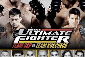 Ultimate Fighter 12 Finale Breakdown