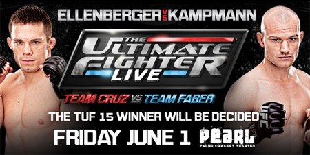 UltimateFighterFinaleEllenbergerKampmann