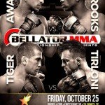 Bellator 105