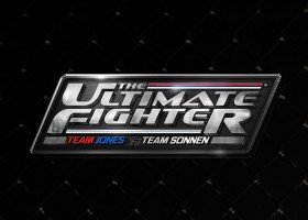 The Ultimate Fighter 17